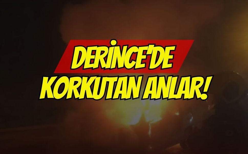 Derince sahilinde korkutan dakikalar: 60 Evler Mahallesi'ndeki ağaçlık alanda havai fişek kaynaklı yangın çıktı!