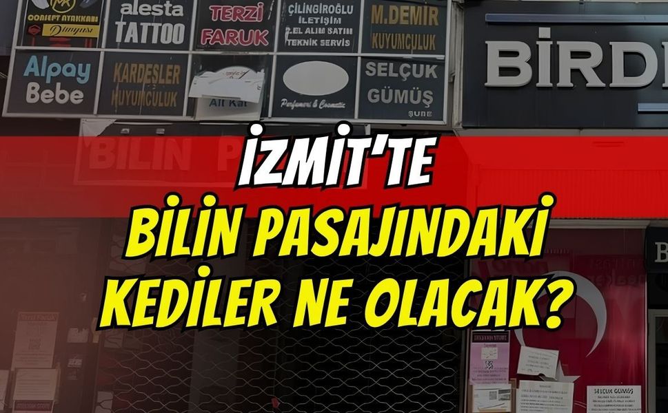 İzmit'te Bilin Pasajı Yıkılıyor! Peki Ya İçindeki Kediler Ne Olacak?