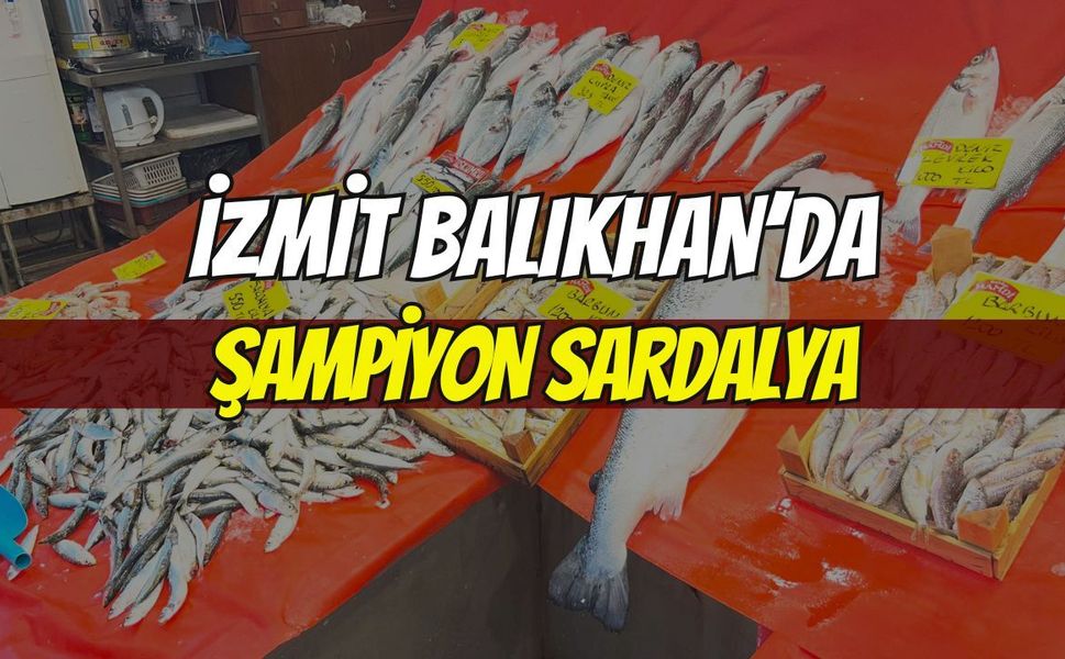 İzmit’te Balıkhan’da Haftanın Şampiyonu Sardalya