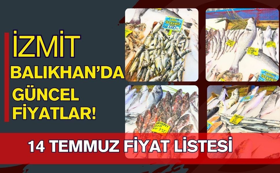 İzmit Balıkhan’da Güncel Fiyatlar: İşte 14 Temmuz Balık Fiyat Listesi