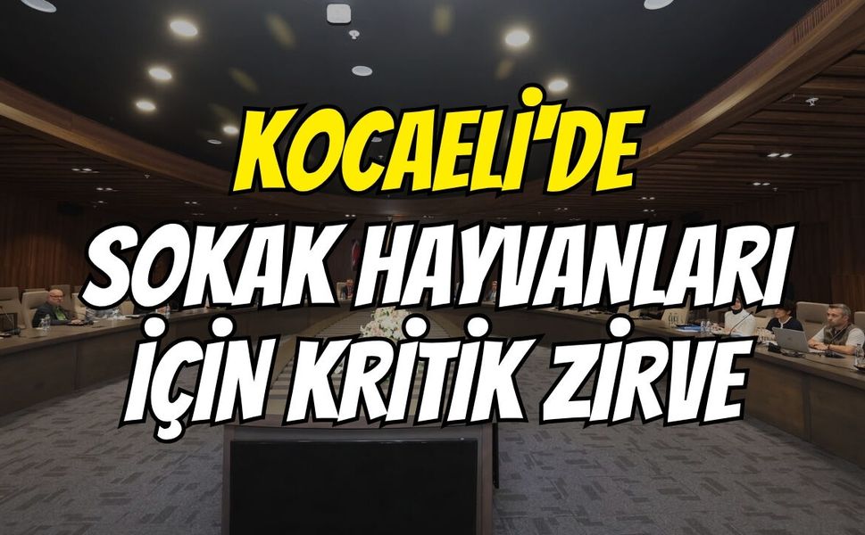 Kocaeli'de Sokak Hayvanları İçin Kritik Zirve