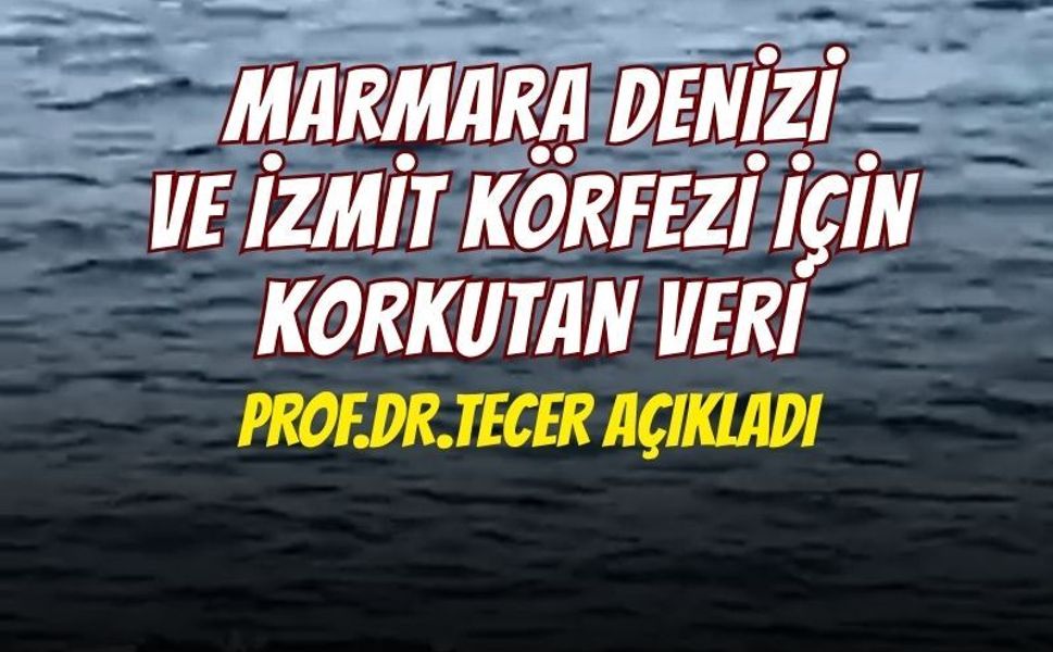 Marmara'da Deniz suyu sıcaklığı 50 yılda 2,5 derece arttı!: Kocaeli nasıl etkilenecek?