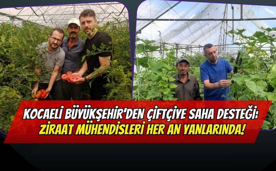 Kocaeli Büyükşehir’den Çiftçiye Saha Desteği: Ziraat Mühendisleri Her An Yanlarında!