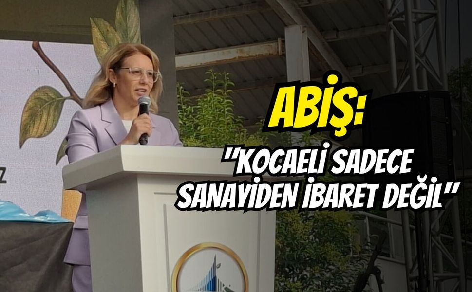 Abiş: "Kocaeli Sadece Sanayiden İbaret Değil"