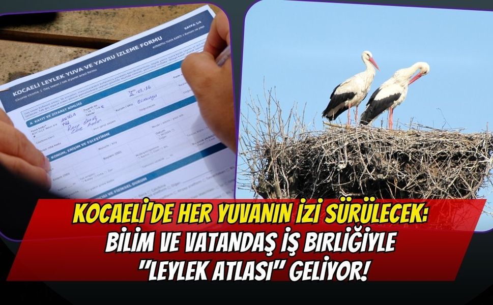 Kocaeli’de Her Yuvanın İzi Sürülecek: Bilim ve Vatandaş İş Birliğiyle "Leylek Atlası" Geliyor!