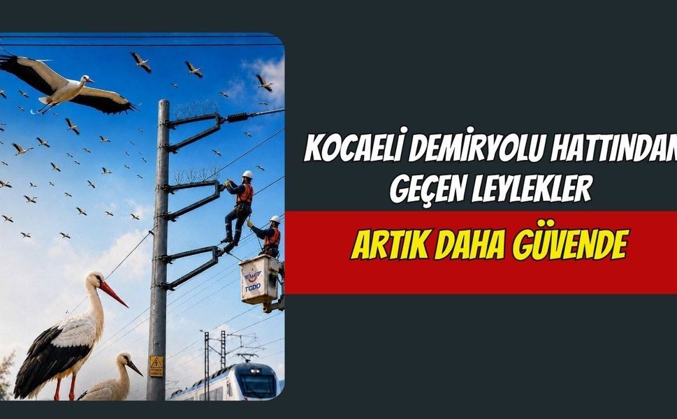 Elektrik Hatlarına "Leylekkonmaz" Aparatlar Monte Edildi