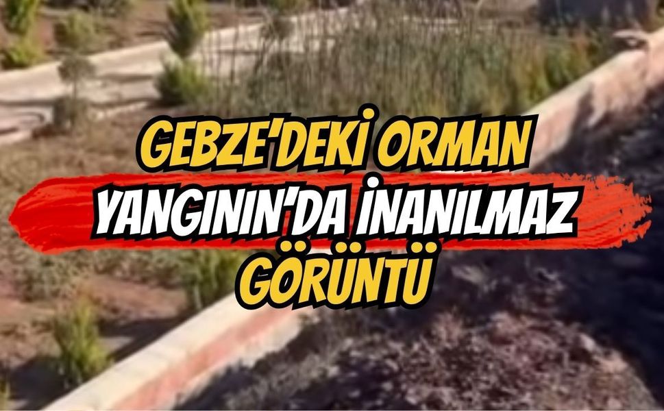 Gebze'deki Orman Yangınında İnanılmaz Görüntü: Her Yer Kül Oldu, O Ev Ayakta Kaldı!