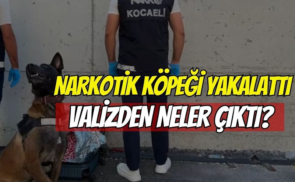 Narkotik köpeği yakaladı: Valizden 21 bin ecza çıktı