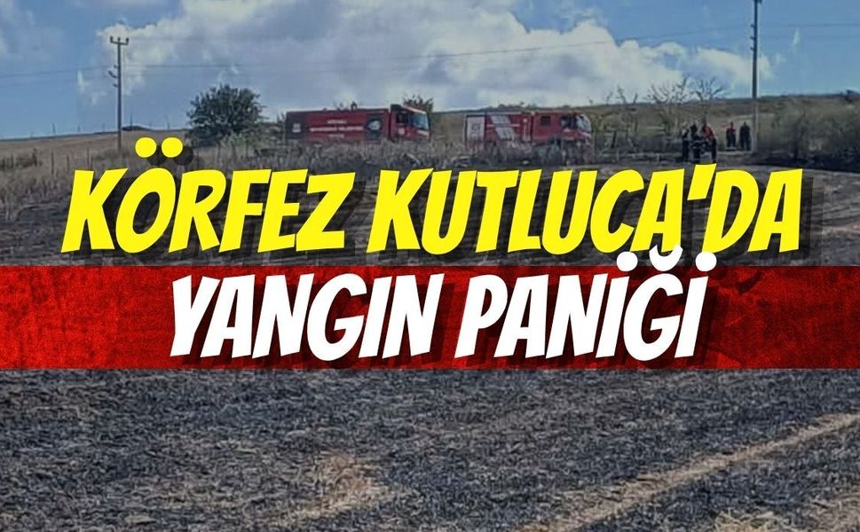 Körfez Kutluca Köyünde Yangın Paniği