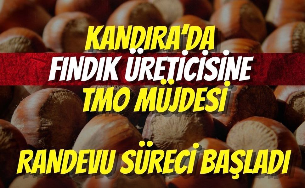 Kandıra’da Fındık Üreticisine TMO Müjdesi: Randevu Süreci Başladı