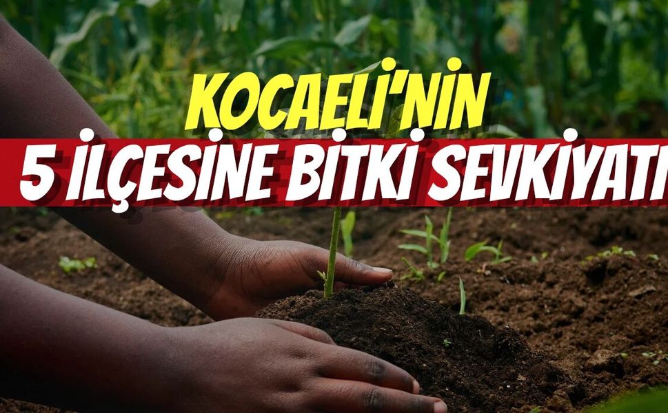 Kocaeli’nin 5 İlçesine Bitki Sevkiyatı: Dev İhale Eylül Sonu Yapılacak