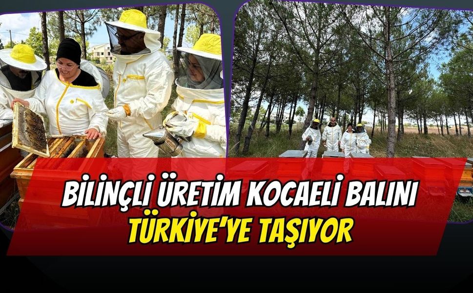 Bilinçli Üretim Kocaeli Balını Türkiye’ye Taşıyor: Büyükşehir’den Arıcılığa Dev Destek!