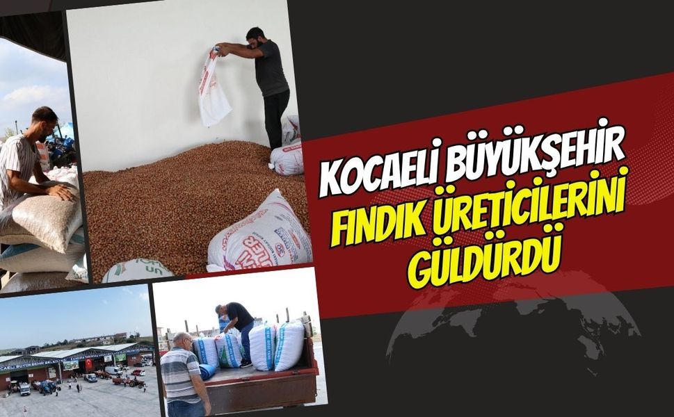 Kocaeli Büyükşehir’in Tesisleri Kandıralı Fındık Üreticisinin Yüzünü Güldürdü