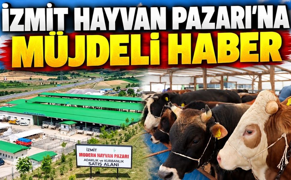 İzmit Hayvan Pazarı’na müjdeli haber: Belediye trafo için ihaleye çıkıyor