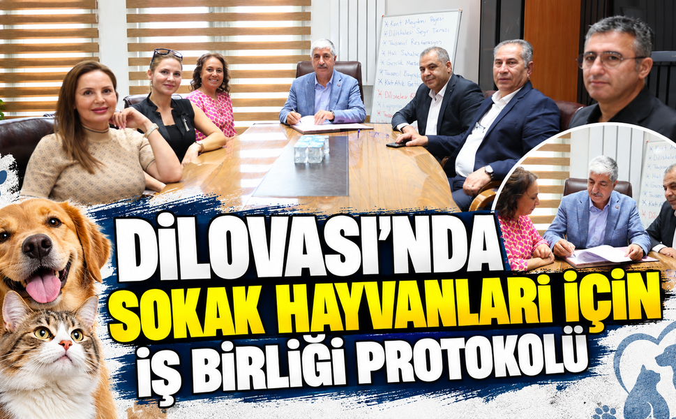 Dilovası’nda sokak hayvanları için iş birliği protokolü