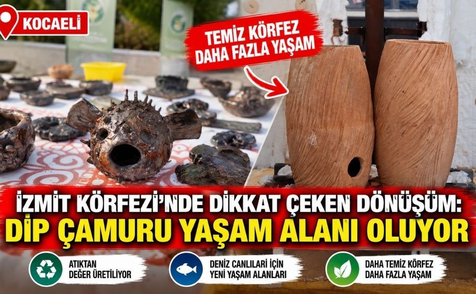 İzmit Körfezi’nde dikkat çeken dönüşüm: Dip çamuru yaşam alanı oluyor