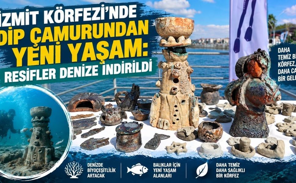 İzmit Körfezi’nde dip çamurundan yeni yaşam: Resifler denize indirildi