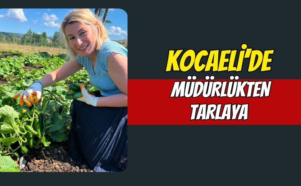 Kocaeli’de Müdürlükten Tarlaya