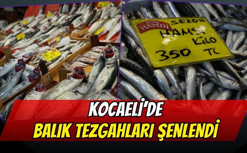 Kocaeli'de Balık Tezgahları Şenlendi