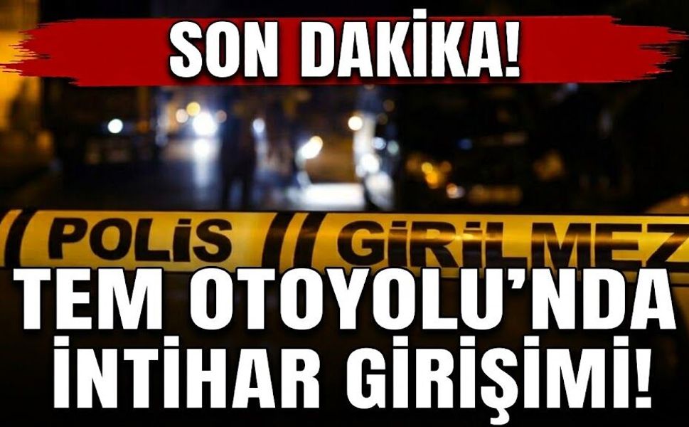 Son Dakika! TEM Otoyolu’ndaki köprüde intihar girişimi