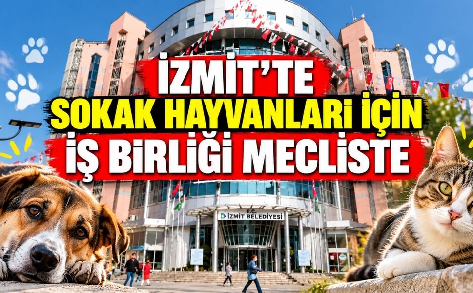 İzmit’te Sokak Hayvanları İçin İş Birliği Mecliste