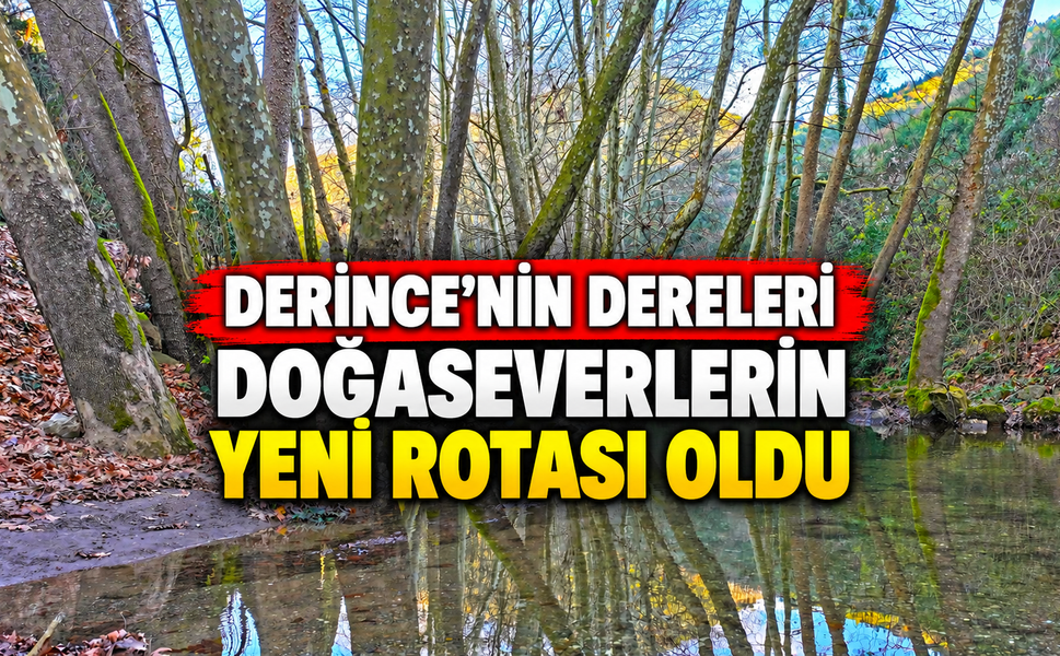Derince’nin Dereleri Doğaseverlerin Yeni Rotası Oldu