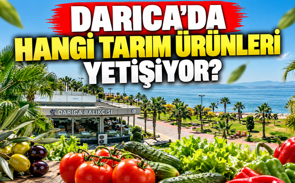Darıca'da hangi tarım ürünleri yetişiyor? İşte ilçenin tarım potansiyeli ve yetiştirilebilen ürünler!