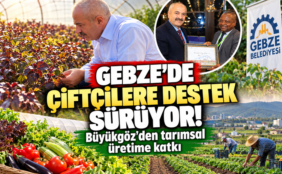 Gebze'de çiftçilere destek sürüyor! Büyükgöz'den tarımsal üretime katkı