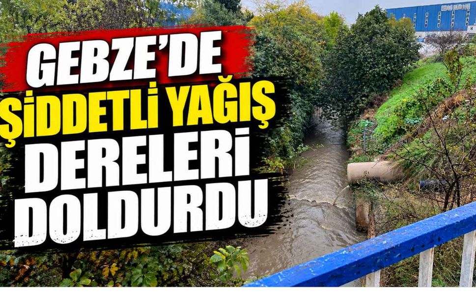 Gebze’de Şiddetli Yağış Dereleri Doldurdu! Kurbağalıdere Taşma Seviyesine Yükseldi