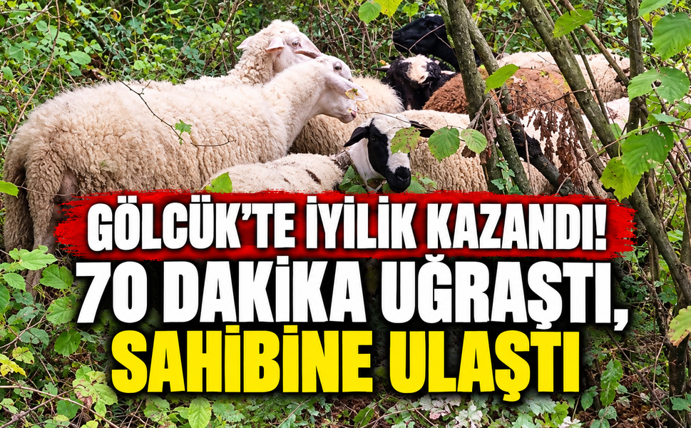 Şirinköy TOKİ Konutları’nda Dikkat Çeken Olay