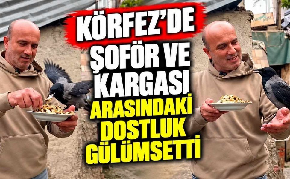 Körfez'de Şoför Ve Kargası Arasındaki Dostluk Gülümsetti