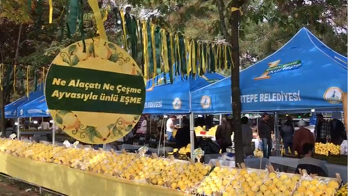 Agva Festivali Kocaeli Esme.jpg