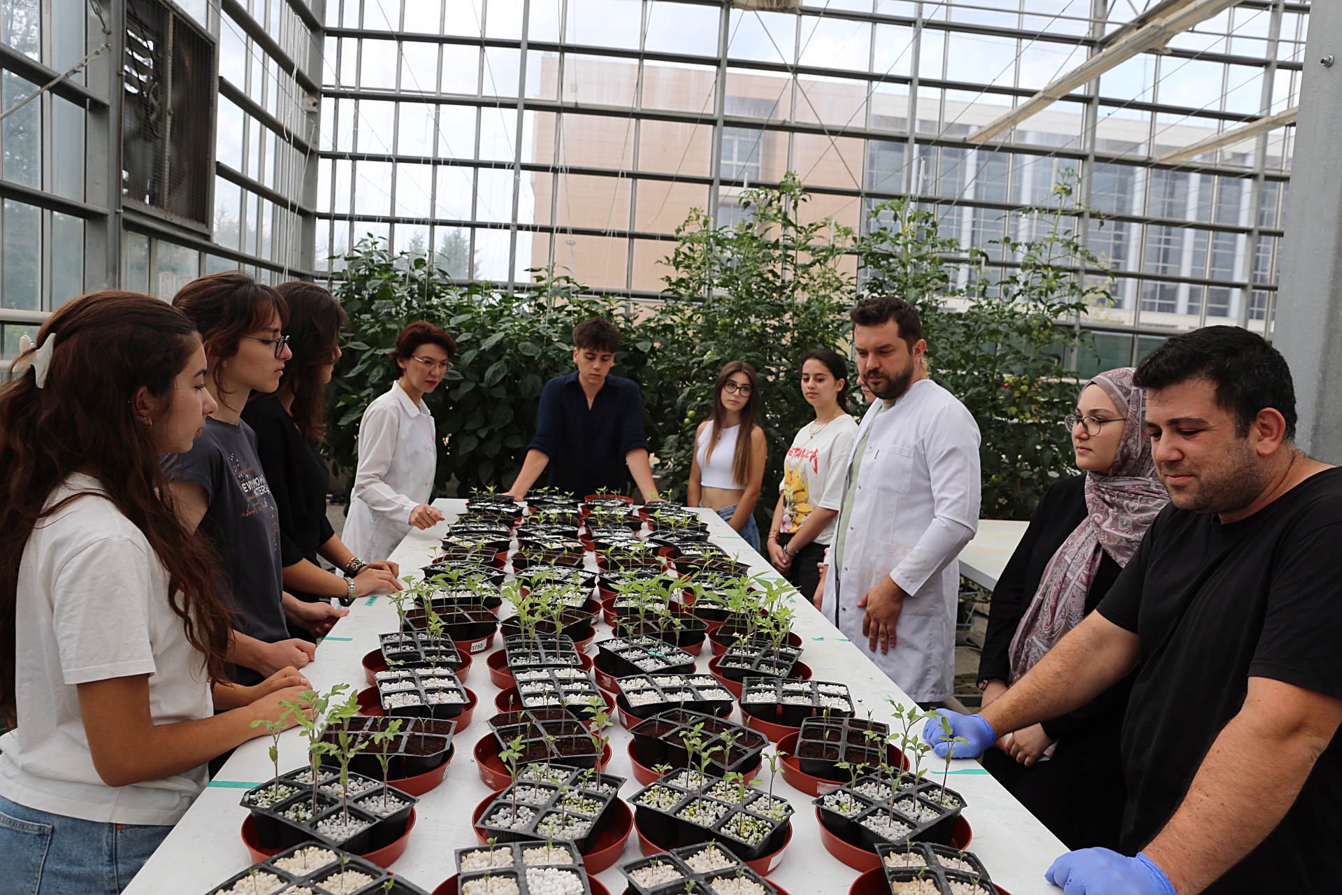 Araştırma Staj Programı (3)