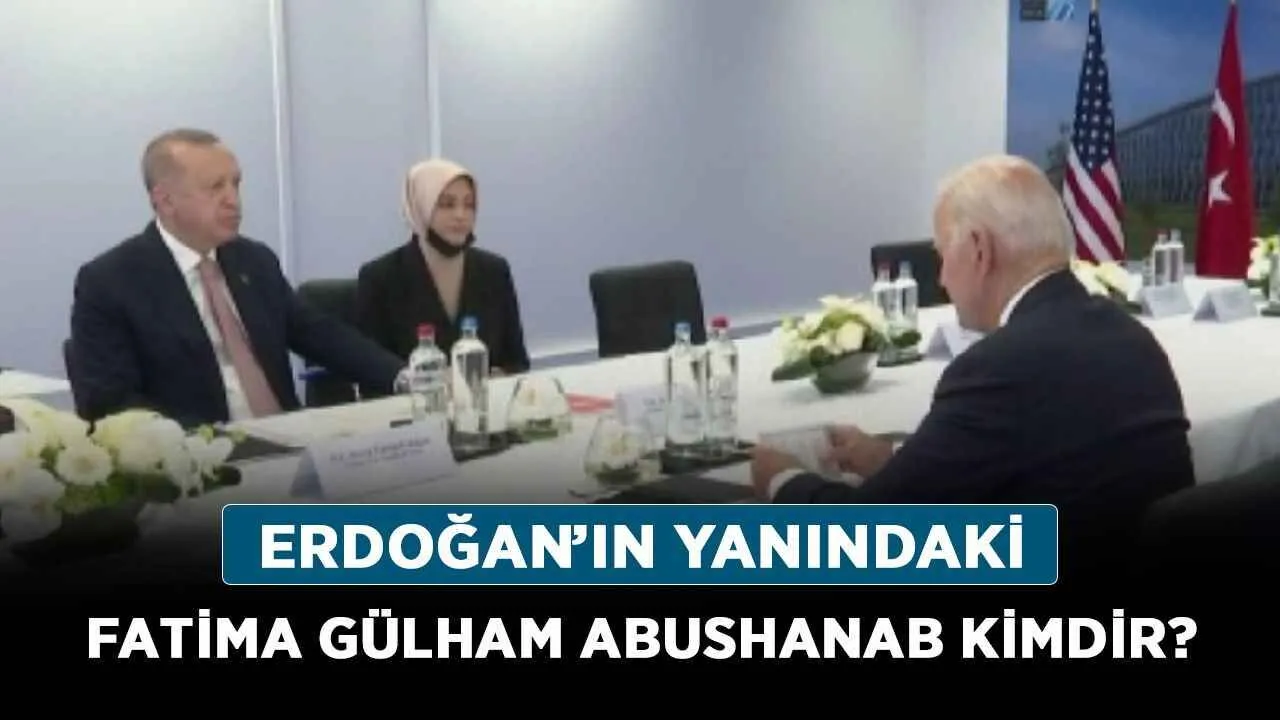 [GRAFİK: İbrahim Tatlıses'ten Fatma Gülhan Abushanab'a uzanan basit bir aile ağacı şeması]