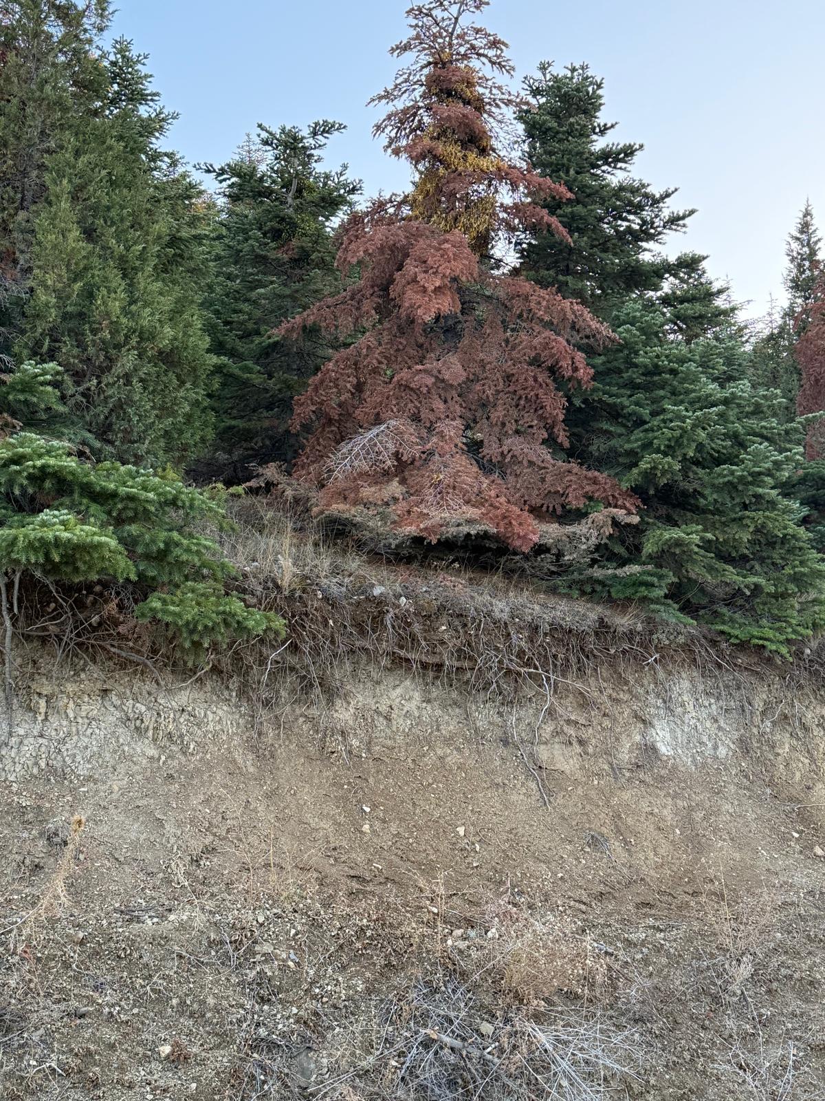 Fotoğraf (7)