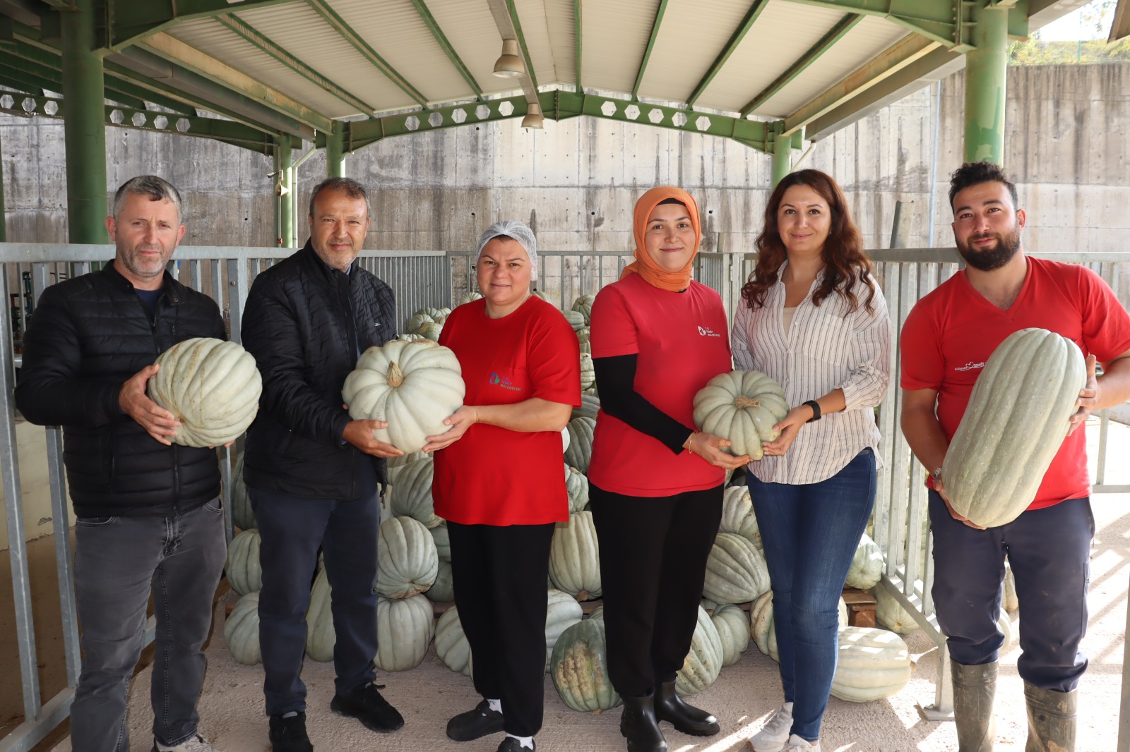 İzmit Belediyesinden 8 Tonluk Yerli Üretim Bal Kabağı (4)