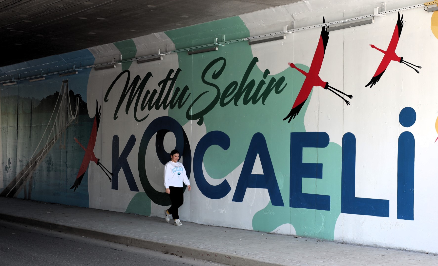 Kocaeli'de Trafo Ve Alt Geçitler Sanatla Renkleniyor (4) (Büyük)
