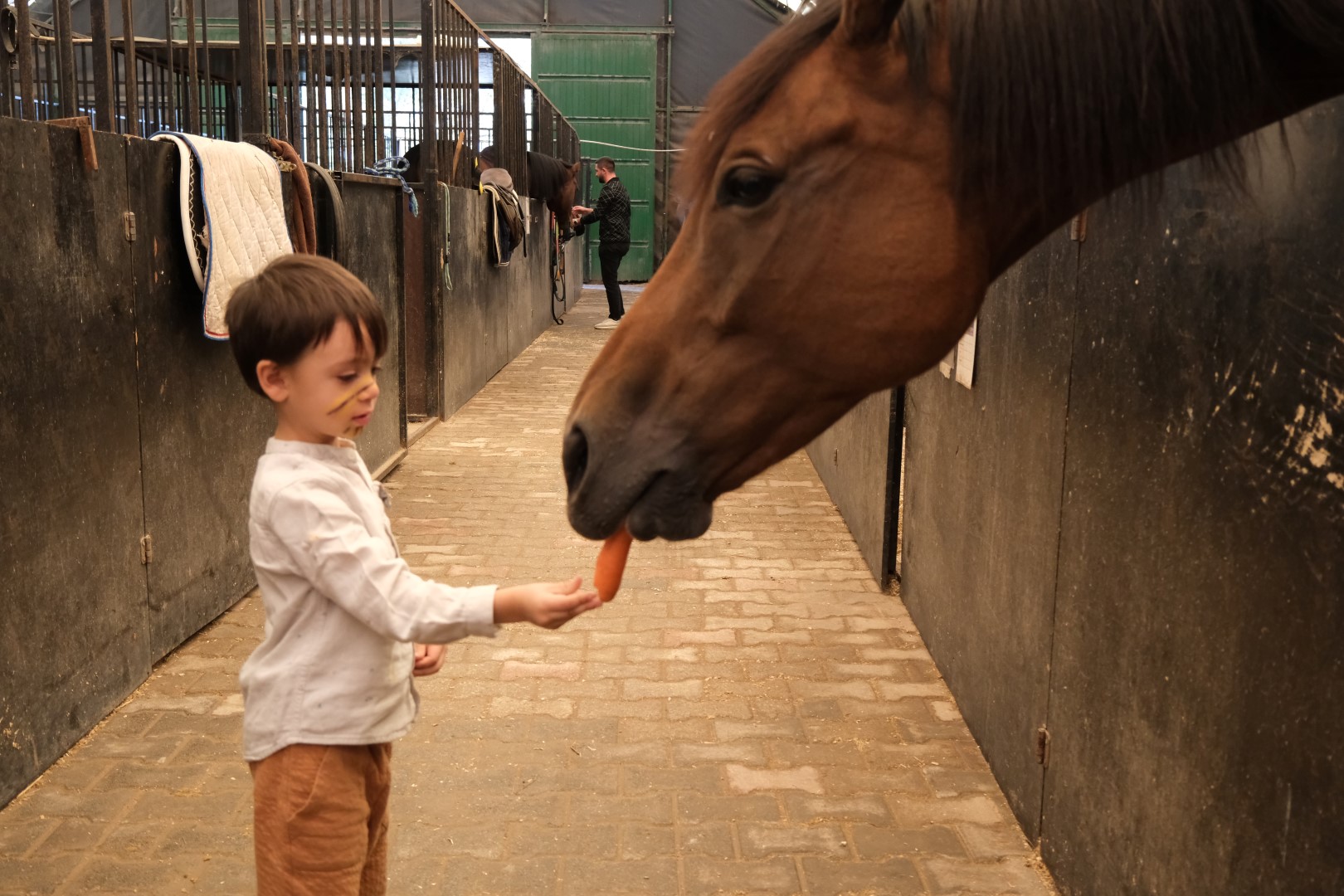 Minikler, Hayvanları Koruma Günü'nde Atlarla Buluştu (3)