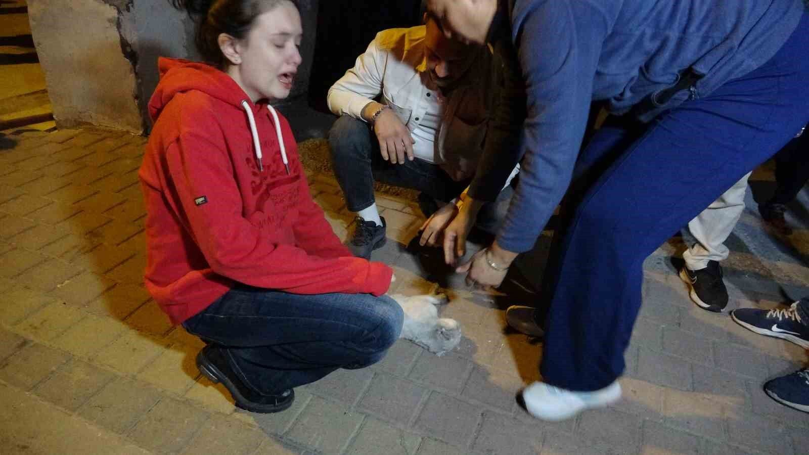 Antalya’daki Yangında 2 Kedi Telef Oldu, Sahipleri Gözyaşlarına Boğuldu 2