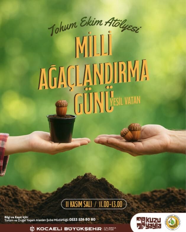 Ara Tatil Için Adres Ormanya Ve Kuzuyayla (4)