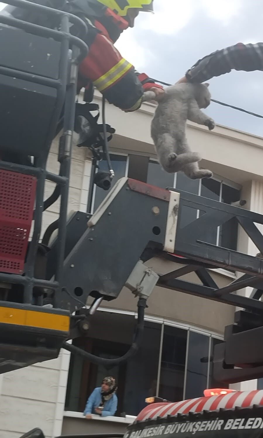 Bandırma’da, Yangında Evde Uyuyan Kadın Ve 3 Kedi Kurtarıldı 2