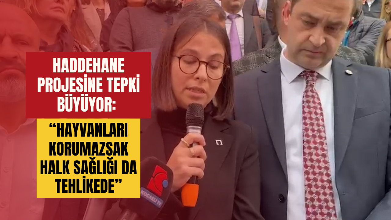 Haddehane Projesi̇ne Tepki̇ Büyüyor Hayvanlari Korumazsak Halk Sağliği Da Tehli̇kede