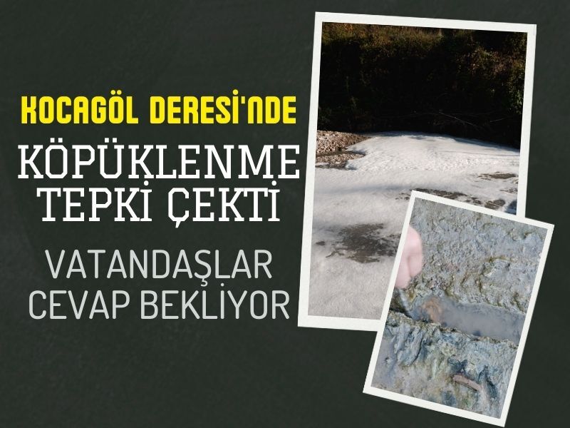 Kocagol Deresi Kopuklenme Cevre Kirliligi