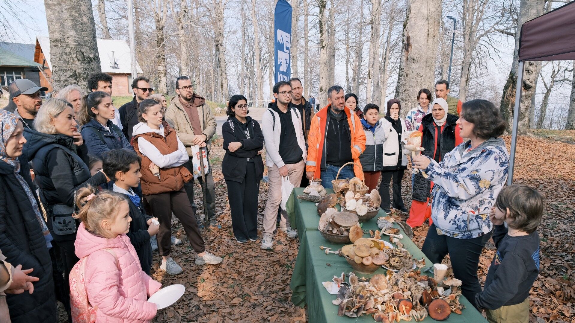 Kuzuyayla'da Mantarların Gizemli Dünyası Keşfedildi (6)