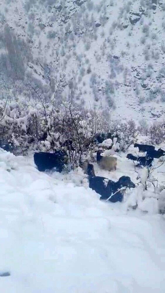 Artvin 3 Metre Kar.jpg