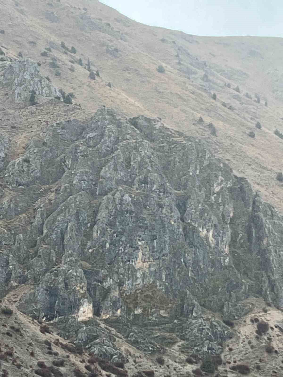 Erzincan’da Mahsur Kalan Keçiler Için Jak Ve Afad Seferber Oldu 2