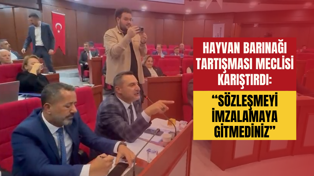 Hayvan Barinaği Tartişmasi Mecli̇si̇ Kariştirdi Sözleşmeyi̇ İmzalamaya Gi̇tmedi̇ni̇z