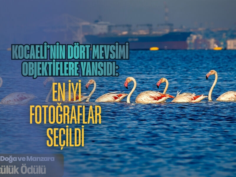 Kocaeli’nin Dört Mevsimi Objektiflere Yansıdı: En İyi Fotoğraflar Seçildi