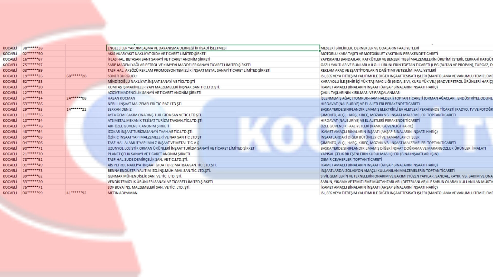 Kocaeli Engelli Vergi