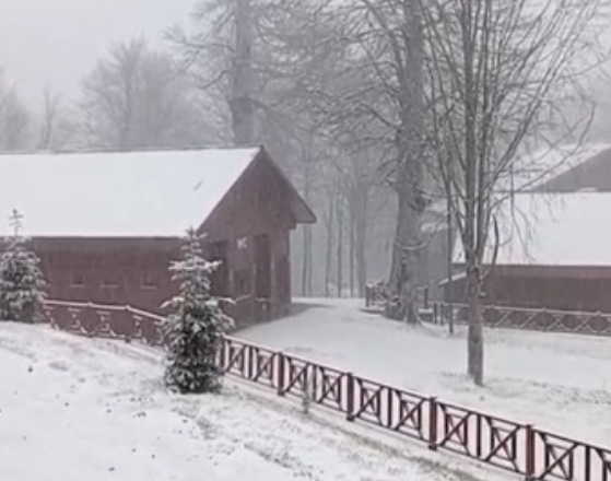 Kocaeli Kartepe Kuzuyayla Kar.jpg